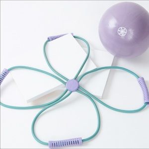 Gaiam Ultimate Core Toning Kit